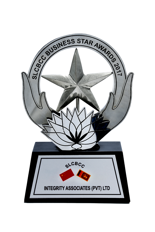 Silver Awards Services Large SLCBCC Business Star Awards 2017 - 18